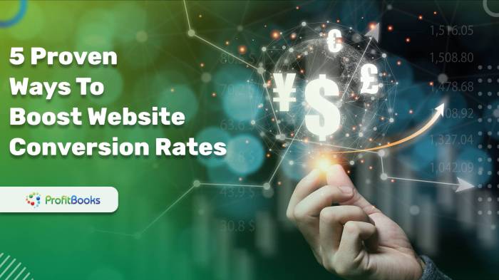 Website Conversion Rates