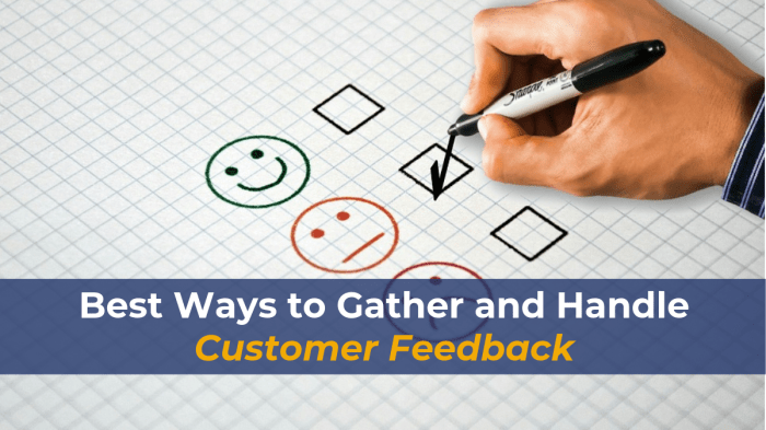 Handling Customer Feedback