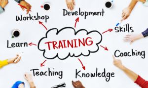 Creating Employee Training Programs