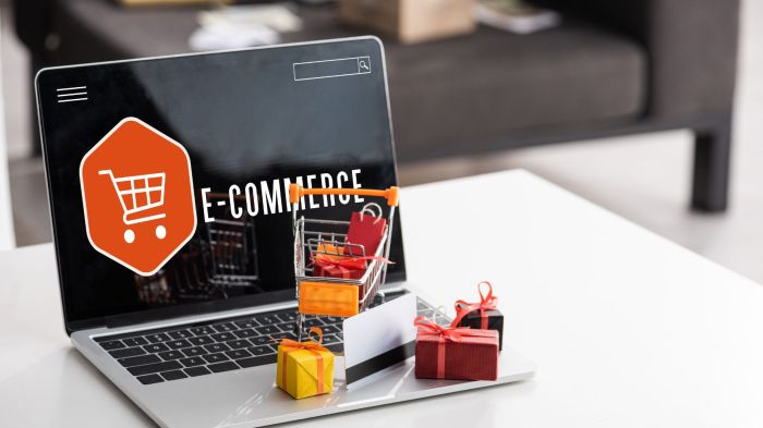 SEO for E-commerce Websites