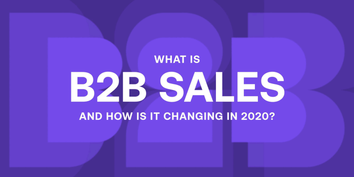 Understanding B2B and B2C Sales